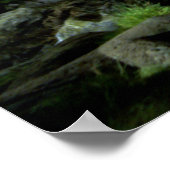 Snape Hermoine Ron Harry Poster (Ecke)