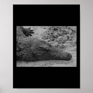 Snapper Croc Black und Weiß Spanien Vertikal Poster