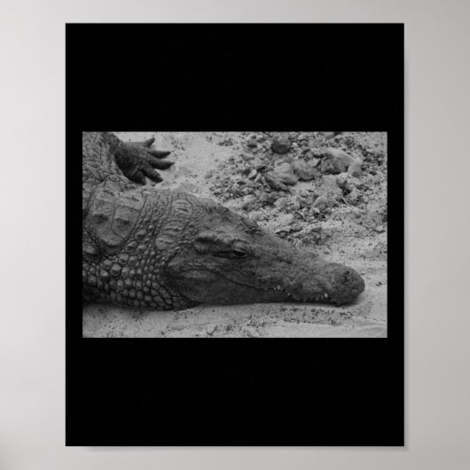 Snapper Croc Black und Weiß Spanien Vertikal Poster (Vorne)