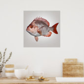 Snapper - Fischdrucker Poster (Küche)