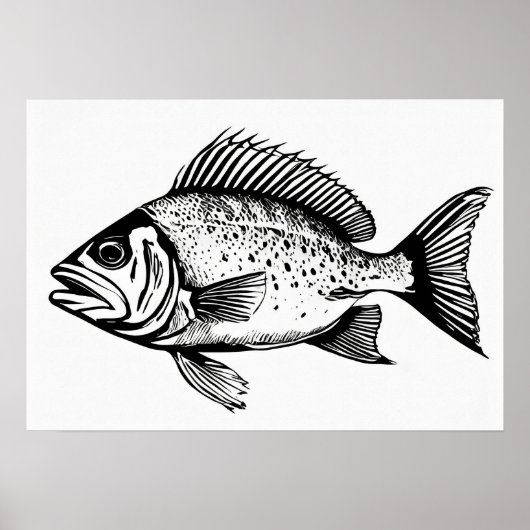 Snapper - Fischdrucker Poster (Vorne)