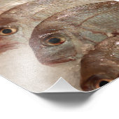 Snapper Fish Fotodruck (Ecke)