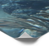 Snapper School Poster (Ecke)