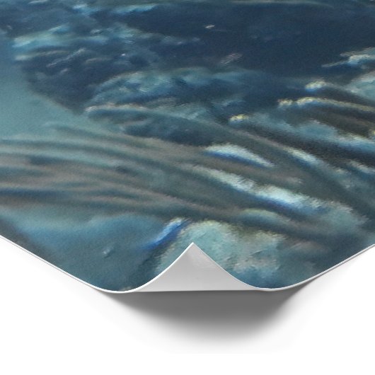 Snapper School Poster (Ecke)