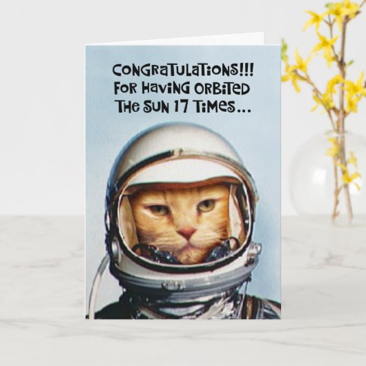 Snarky 17. Geburtstag Glückwunsch Card Karte (Gelbe Blume)