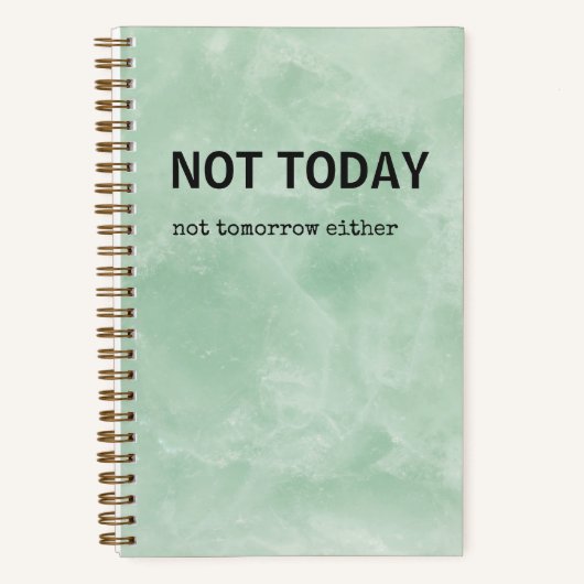 Snarky Journal | Nicht heute Notizblock (Vorderseite)