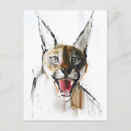 Snarl Postkarte (Vorderseite)