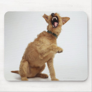 Snarling Dog Mousepad