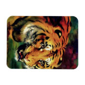 Snarling Tiger Artistic Portrait Magnet (Horizontal)