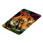 Snarling Tiger Artistic Portrait Magnet (Linke Seite)