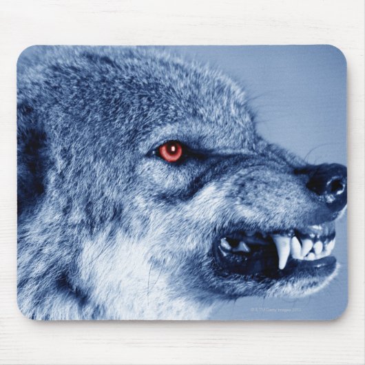 Snarling wolf (Canis Lupus), Profil (Digital) Mousepad (Vorne)