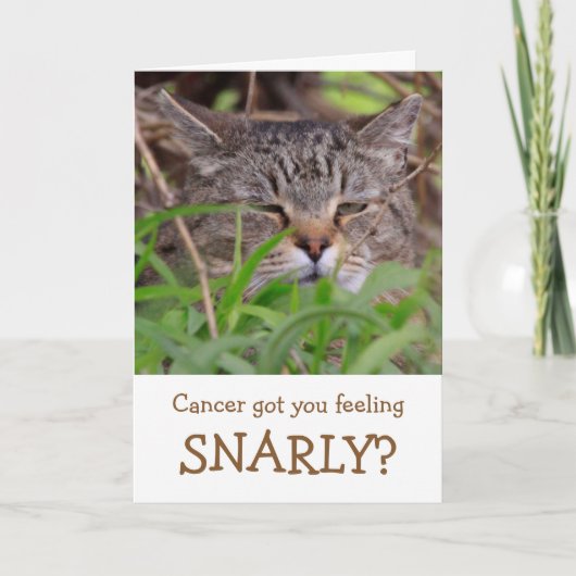 Snarly Cat Funny Cancer Faltkarte Karte (Vorderseite)