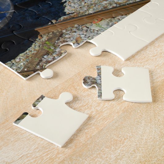 SNCF-Nahverkehrszug Puzzle (Seite)