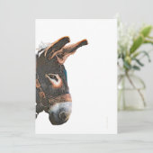 Sneak-Flüchtige Blick - Donkey Einladung (Stehend Vorderseite)