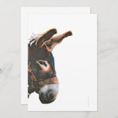 Sneak-Flüchtige Blick - Donkey Einladung (Vorne/Hinten)