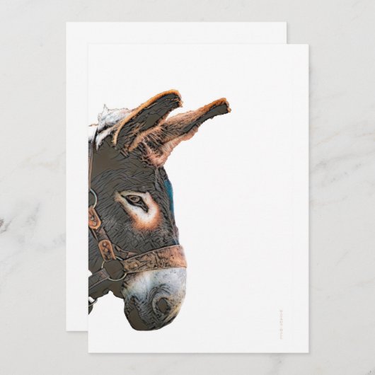 Sneak-Flüchtige Blick - Donkey Einladung (Vorne/Hinten)