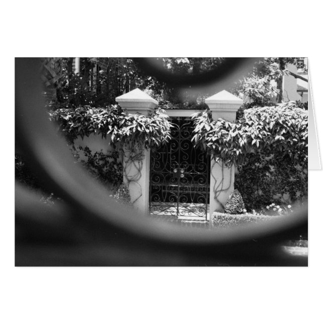 Sneak Peak (Vorderseite (Horizontal))