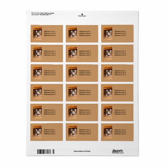 Sneaking Kitte Label Adressaufkleber (Vorne)