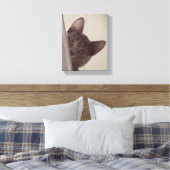 "Sneaky Cat" Print on Stretched Leinwand (Insitu (Schlafzimmer))