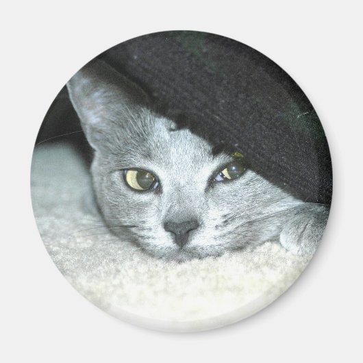 Sneaky Karma Magnet (Vorne)