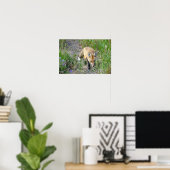 Sneaky Red Fox Poster (Heimbüro)