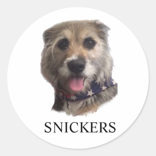 SNICKERS AUFKLEBER (Vorderseite)