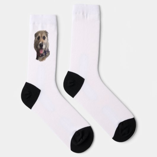 SNICKERS SOCKEN (Rechts)