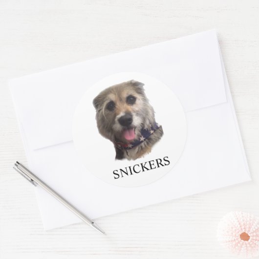 SNICKERS STICKER (Umschlag)