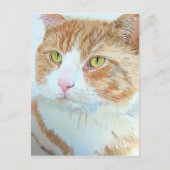 Snickert die Cat Postkarte (Vorderseite)