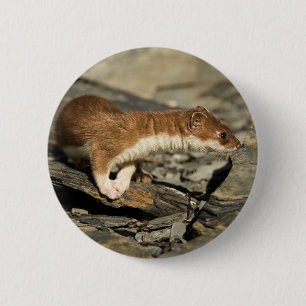 Sniffing Weasel Button