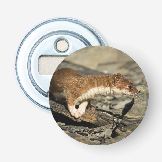 Sniffing Weasel Flaschenöffner (Vorderseite)