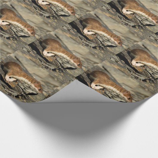 Sniffing Weasel Geschenkpapier (Ecke)
