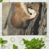 Sniffing Weasel Geschirrtuch (Gefaltet)