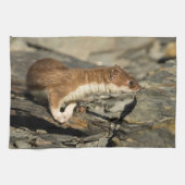 Sniffing Weasel Geschirrtuch (Horizontal)