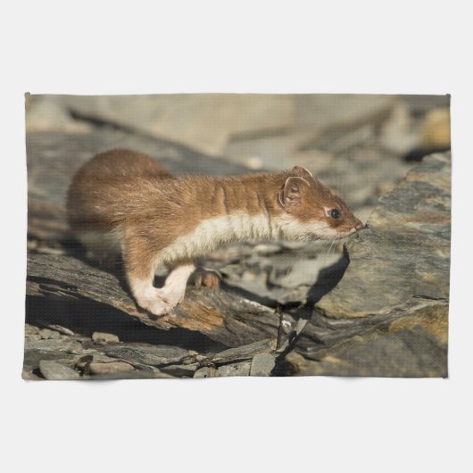 Sniffing Weasel Geschirrtuch (Horizontal)