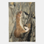 Sniffing Weasel Geschirrtuch (Vertikal)