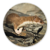 Sniffing Weasel Keramikknauf (Vorderseite)