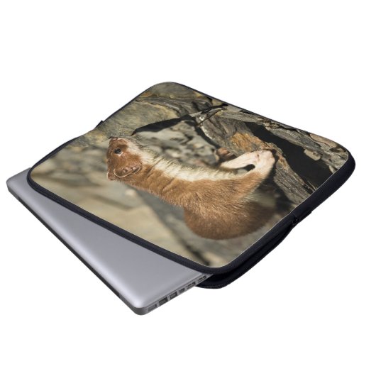 Sniffing Weasel Laptopschutzhülle (Vorne Knopf)