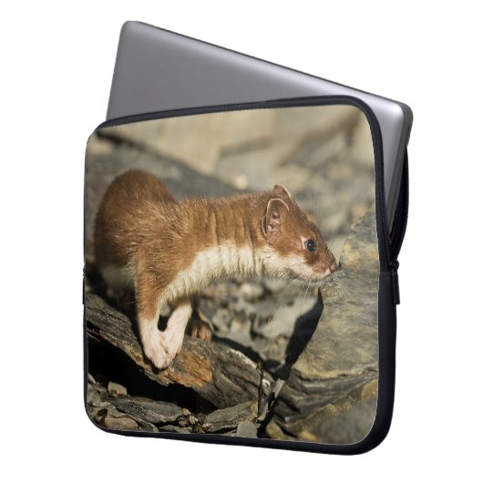 Sniffing Weasel Laptopschutzhülle (Vorderseite Links)