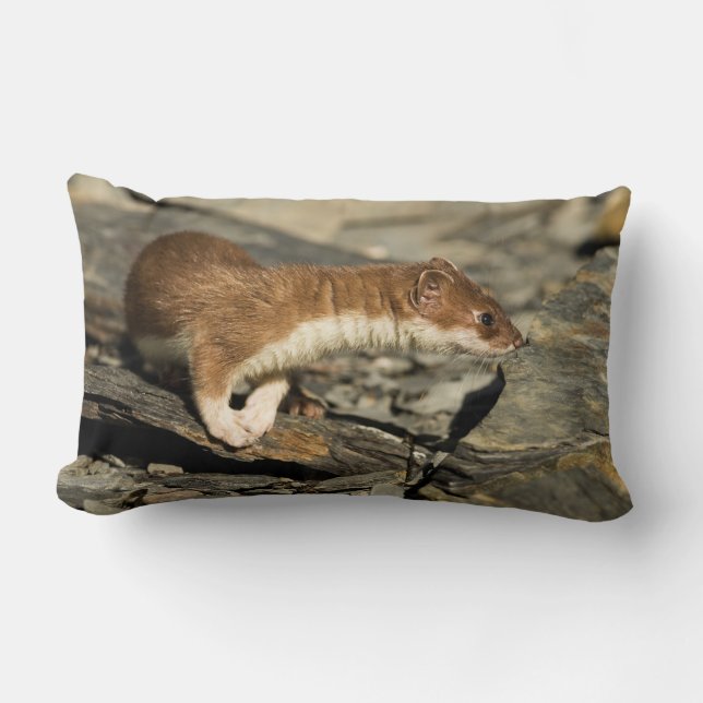 Sniffing Weasel Lendenkissen (Vorderseite)