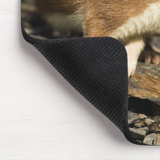 Sniffing Weasel Mousepad (Ecke)