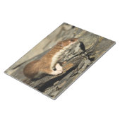 Sniffing Weasel Notizblock (angewinkelt)