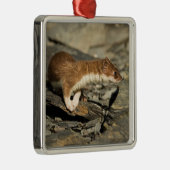 Sniffing Weasel Ornament Aus Metall (Rechts)