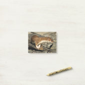 Sniffing Weasel Post-it Klebezettel (Auf Schreibtisch)