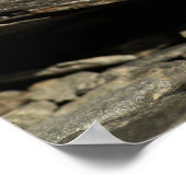 Sniffing Weasel Poster (Ecke)