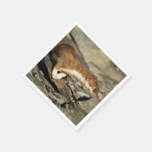 Sniffing Weasel Serviette (Ecke)