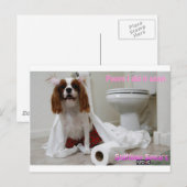 Snifney Spears Postcard Postkarte (Vorne/Hinten)