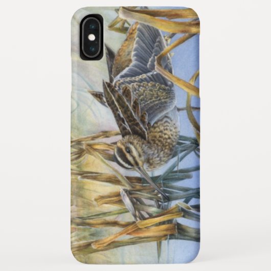Snipe bird Art Winter Morgeni iPhone Case (Rückseite)
