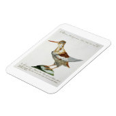 Snipe, c.1767-76 (handfarbene Gravur) Magnet (Linke Seite)