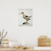 Snipe, c.1767-76 (handfarbene Gravur) Poster (Küche)